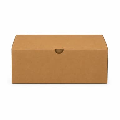 Burger ve E-Ticaret Kutusu 20x13x8 cm