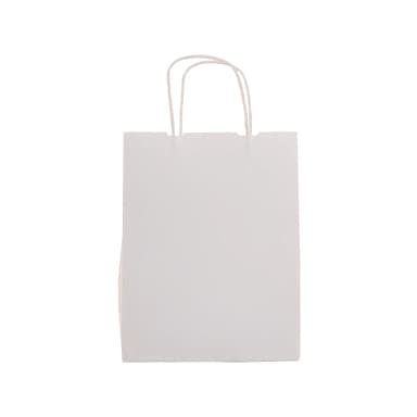 Büküm Saplı Beyaz Kraft Çanta 15x8x20 cm