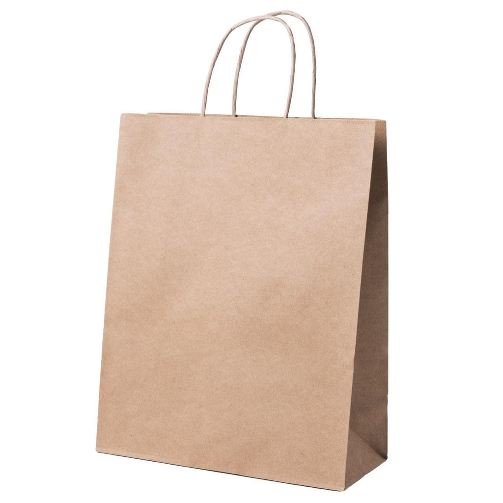 Burgu Saplı Kraft Çanta - Kraft Poşet 20 cm x11 cm x 27.5 cm - Hızlı Kraft Çanta